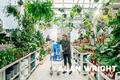 The award-winning House Plant Department (©AAH/Alan Wright)