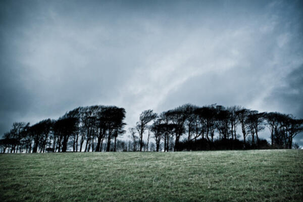 Chanctonbury Ring: haunted?