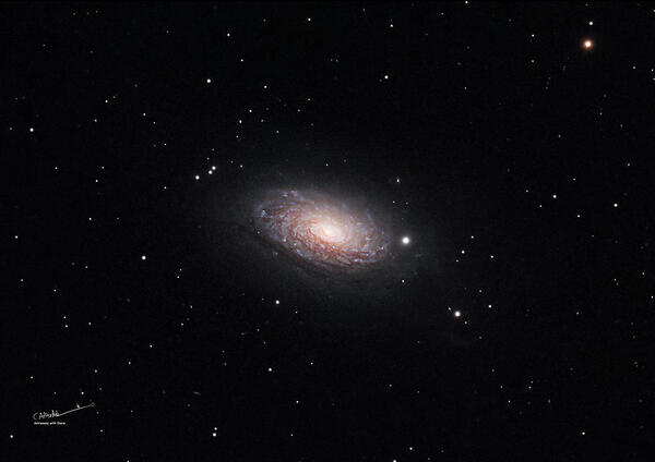 The Sunflower Galaxy (© Claire Bradshaw) The Sunflower Galaxy (© Claire Bradshaw)