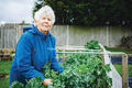 Margaret at Depot Road Allotment