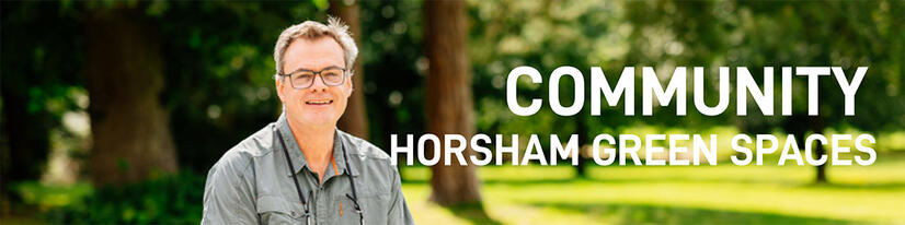 Click for article on Horsham Green Spaces