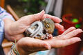 Baby squirrel taken to the rescue centre Baby squirrel taken to the rescue centre