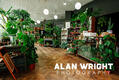 Hugo & Green has many plants for smaller homes (©AAH/Alan Wright)