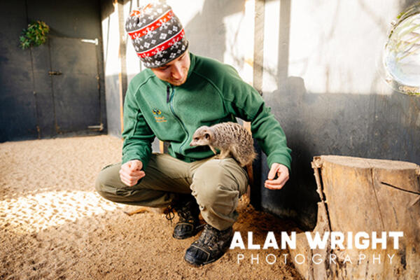 Casper Austin feeds meerkats at Huxley’s (©AAH/AW) Casper Austin feeds meerkats at Huxley’s (©AAH/AW)