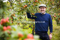 Tom Scanlon at Nuthurst Orchards Tom Scanlon at Nuthurst Orchards
