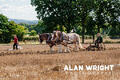 Ian WIlliams demonstrates horse ploughing (©AAH/Alan Wright) Ian WIlliams demonstrates horse ploughing (©AAH/Alan Wright)