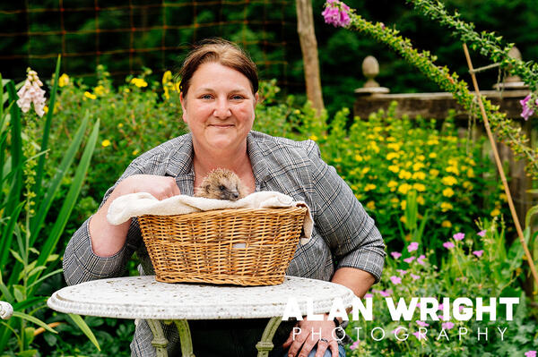 Karen Bowden with one of the many hedgehogs (© AAH/Alan Wright) Karen Bowden with one of the many hedgehogs (© AAH/Alan Wright)