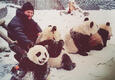 Ron Cheesman with pandas