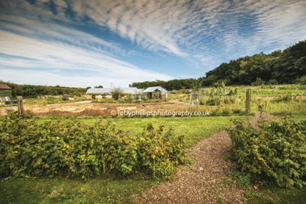 Roots to Growth in Washington Roots to Growth in Washington