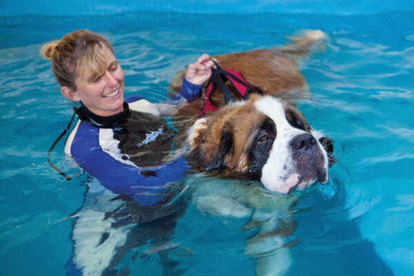 Seers Croft Hydrotherapy Pool