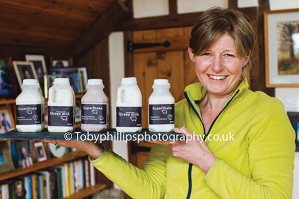 The Sheep Dairy The Sheep Dairy