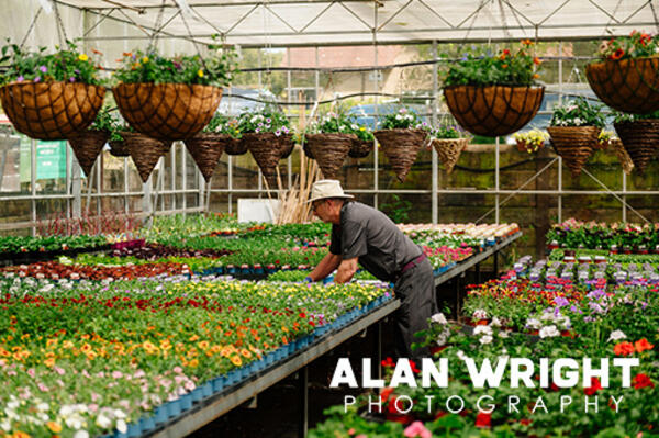 Village Nurseries in West Chiltington Village Nurseries in West Chiltington
