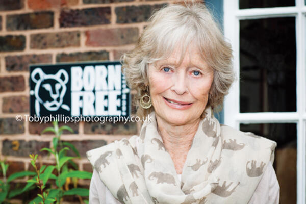 Virginia McKenna