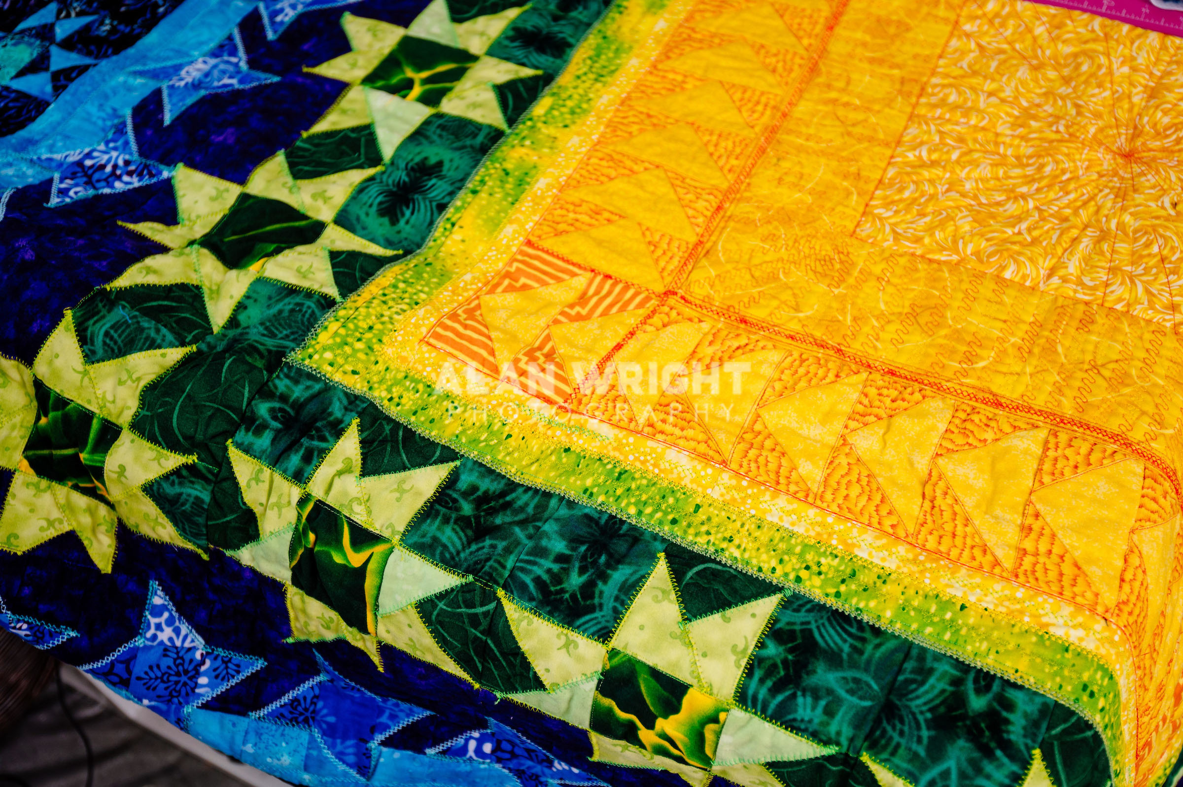 HORSHAM TEXTILE ARTIST VICKY GLYN (2021)