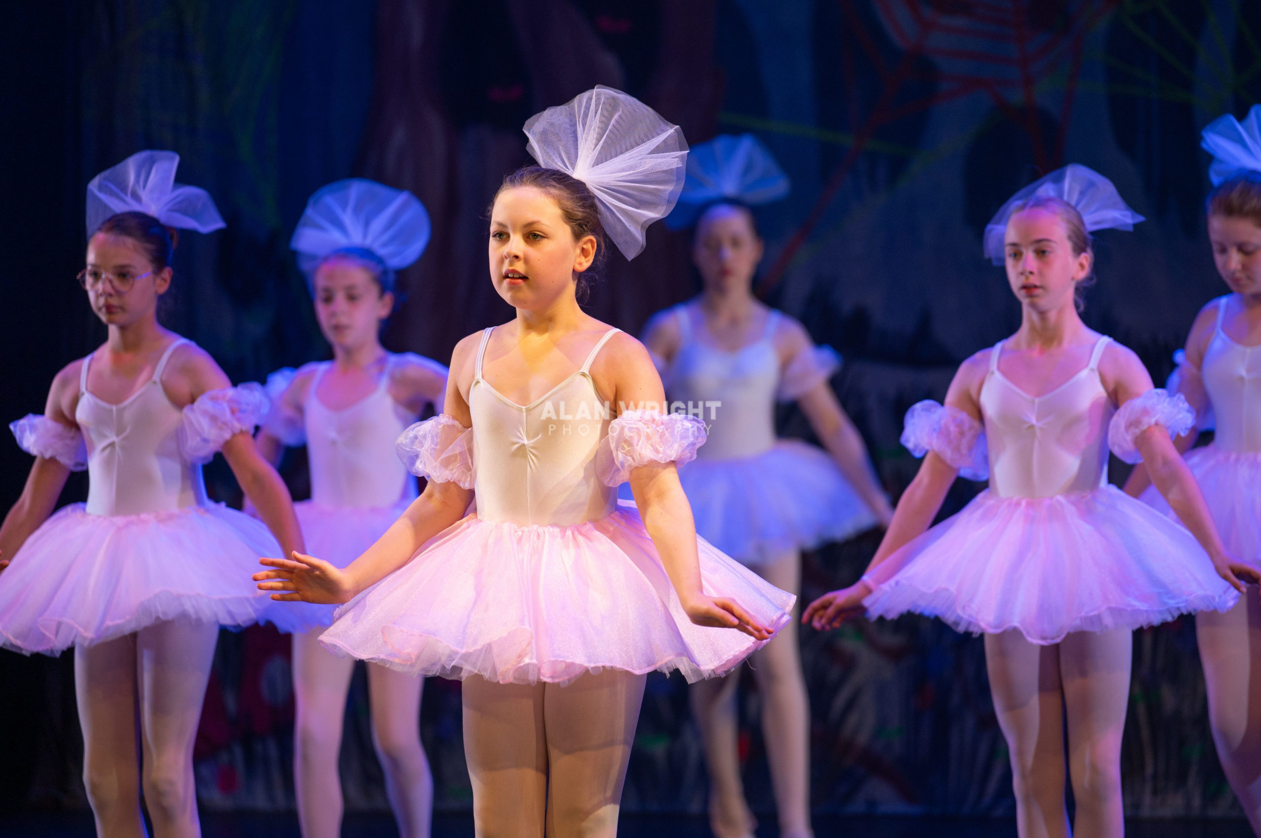 GLYNDE PLACE DANCE STUDIO CELEBRATES 40 YEARS