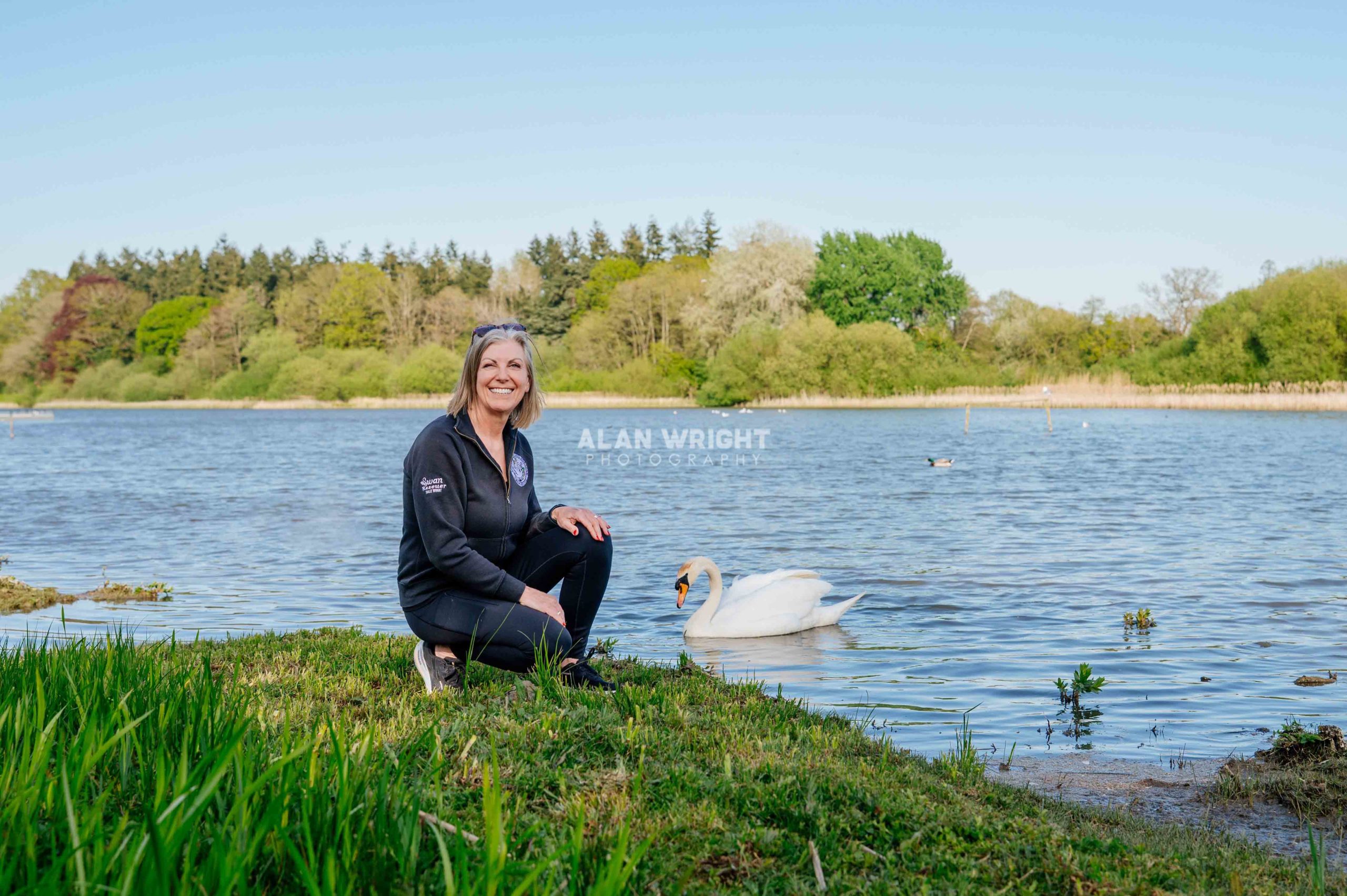 SALLY WRIGHT: RESCUING SWANS IN HORSHAM